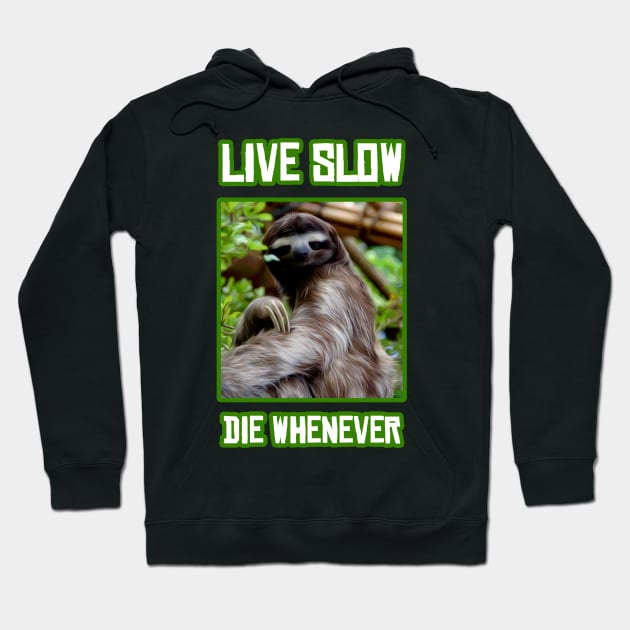 Live Slow Die Whenever Hoodie by Bethany-Bailey